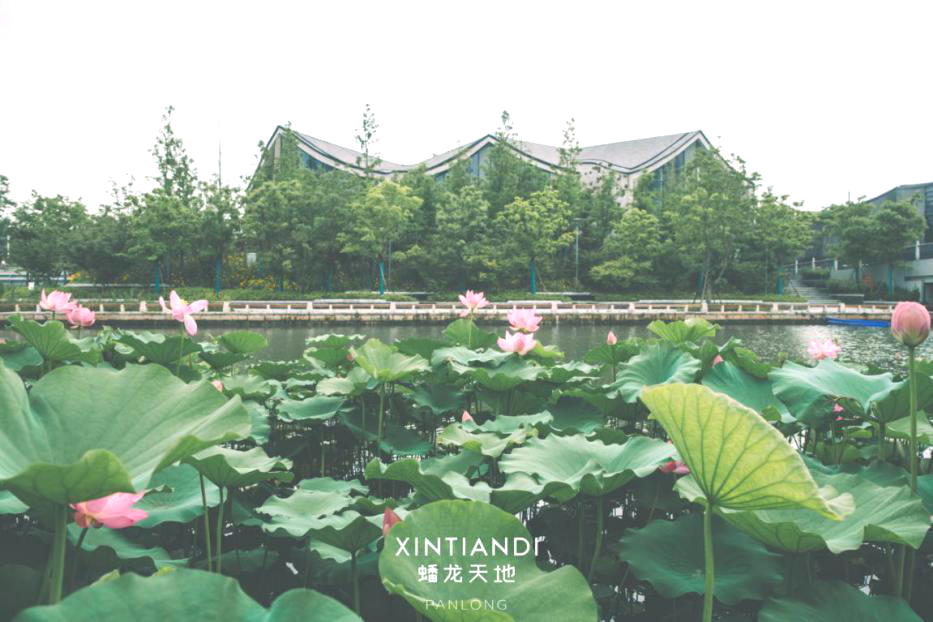 打造“水清岸绿、文脉绵长”的精品项目|华建集团上海市水利院设计蟠龙天地水系工程-34