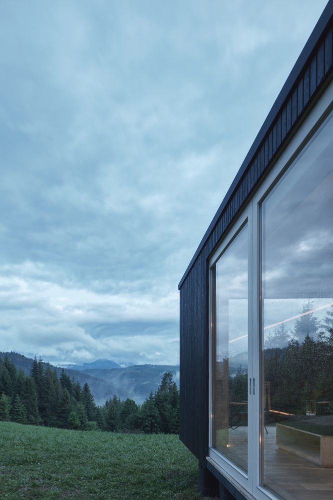 Into the Wild  Ark-50