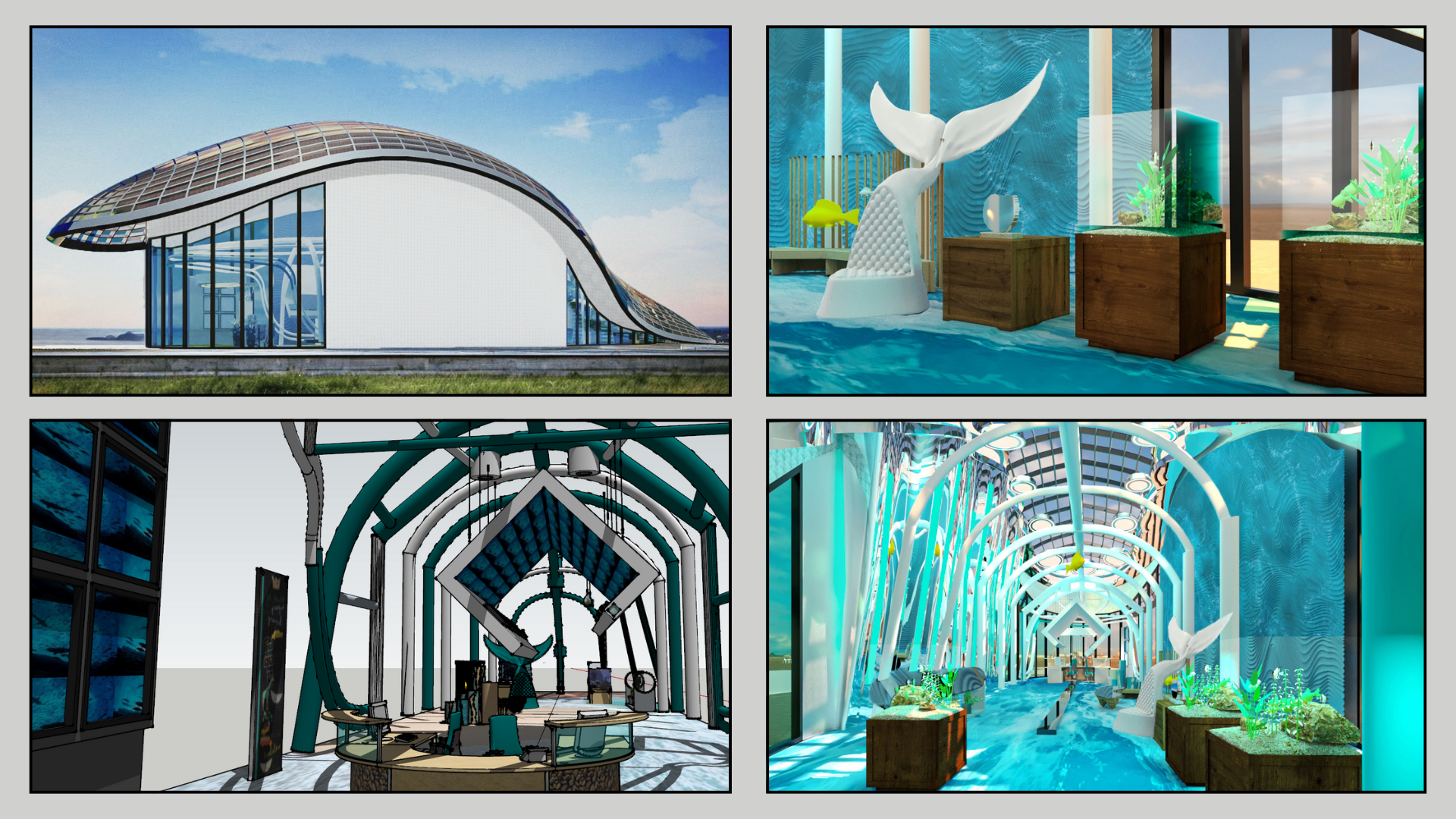 Musée océanographique-8