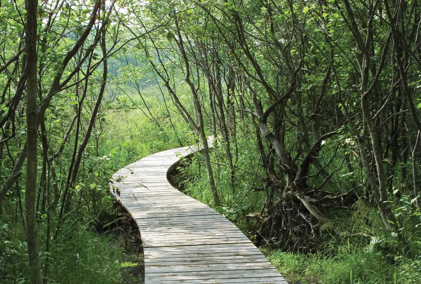 半英里生态景观人行道丨景观设计师-9