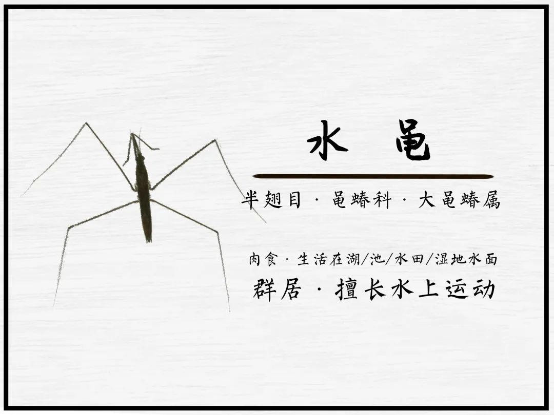 广汽丰田生态园·工业绿色风景线丨普邦设计-91