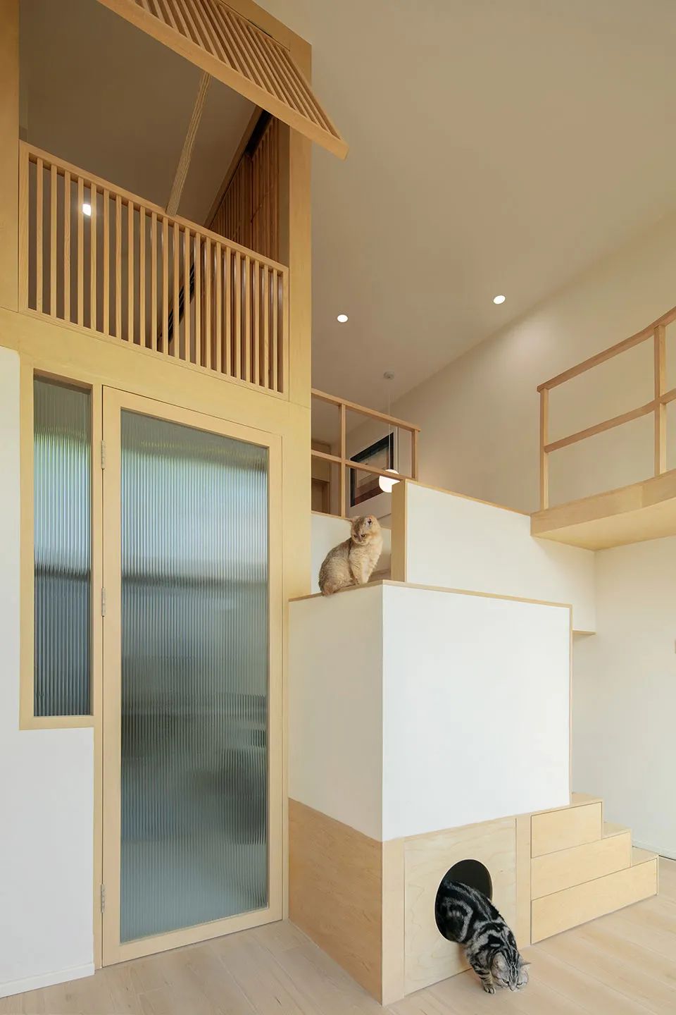 “猫的月下园游会”女孩与六只猫的家丨中国北京丨介介工作室-23