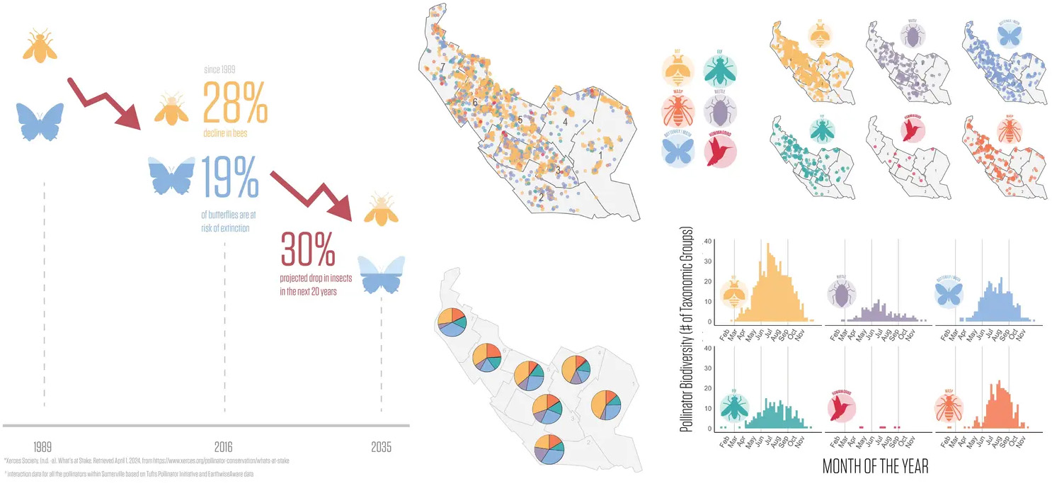 萨默维尔授粉昆虫行动计划丨美国丨Offshoots,Inc.-15