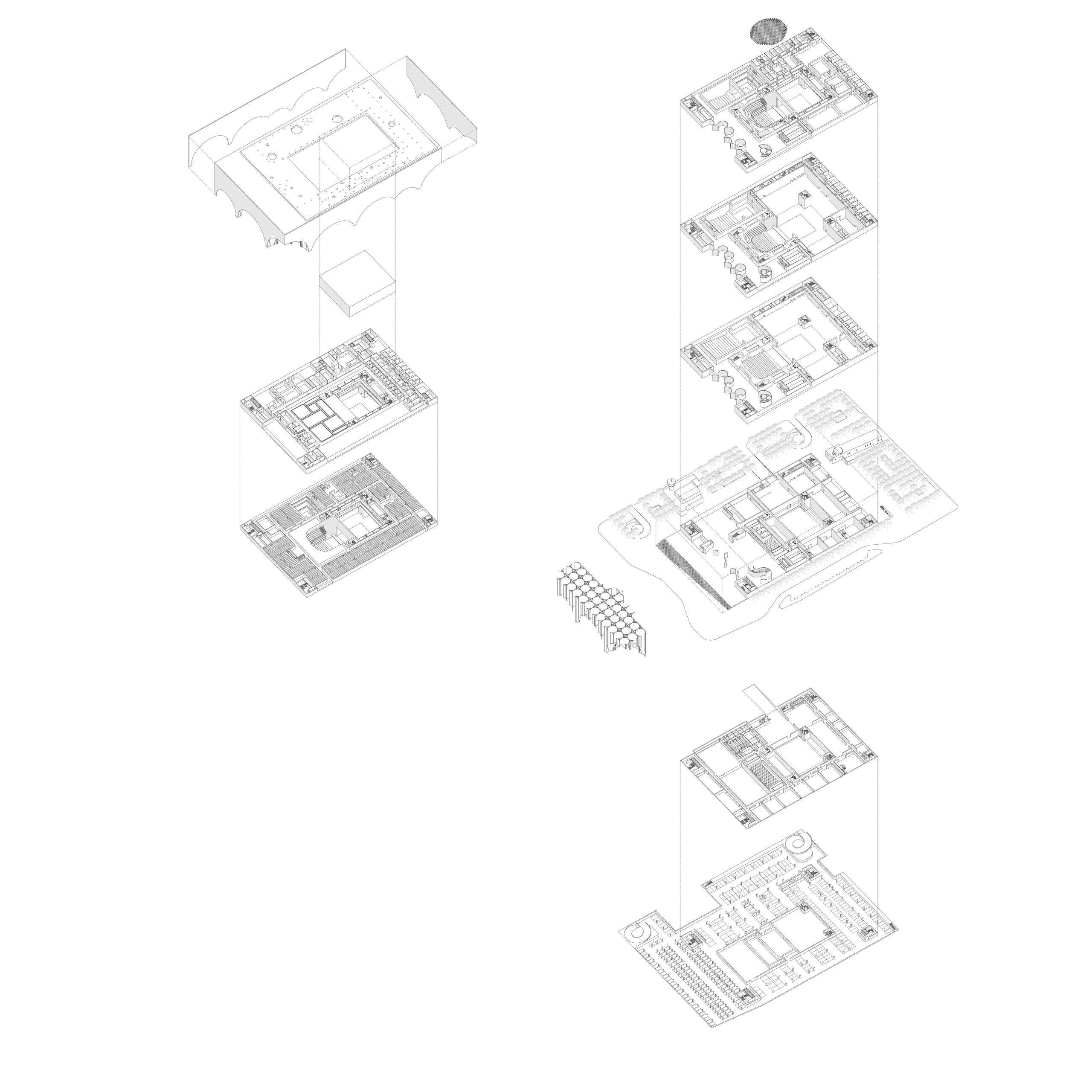 丨叙利亚丨Conser Syria-37