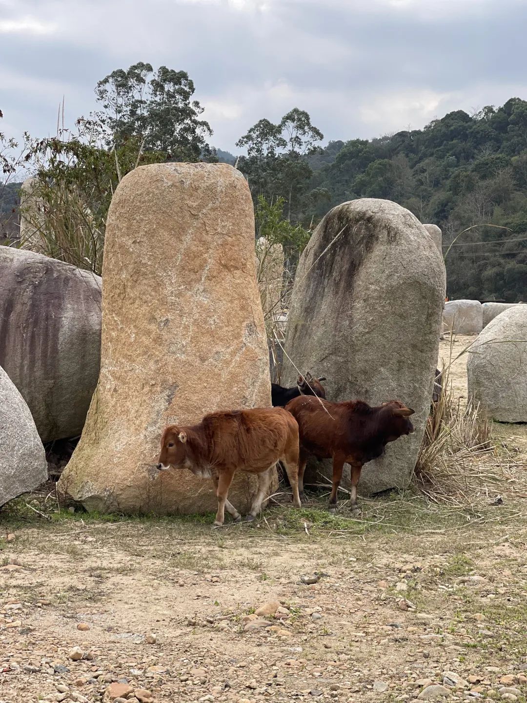 福州平潭石间民宿丨中国福州丨元秀万建筑事务所-16