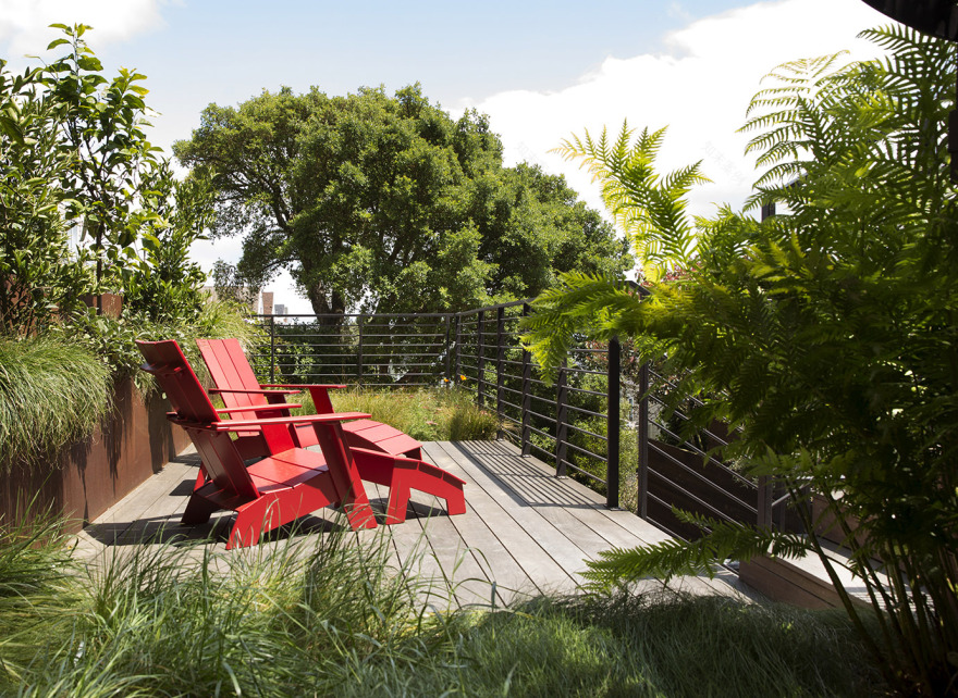 Noe Valley Ⅱ住宅,旧金山 / Feldman Architecture-14