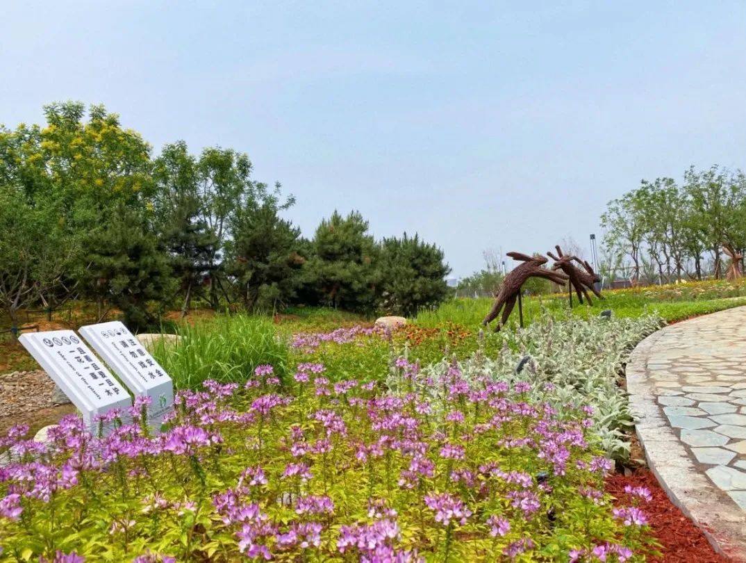 唐山园博园丨中国唐山丨北京正和恒基国际城市规划设计有限公司-34