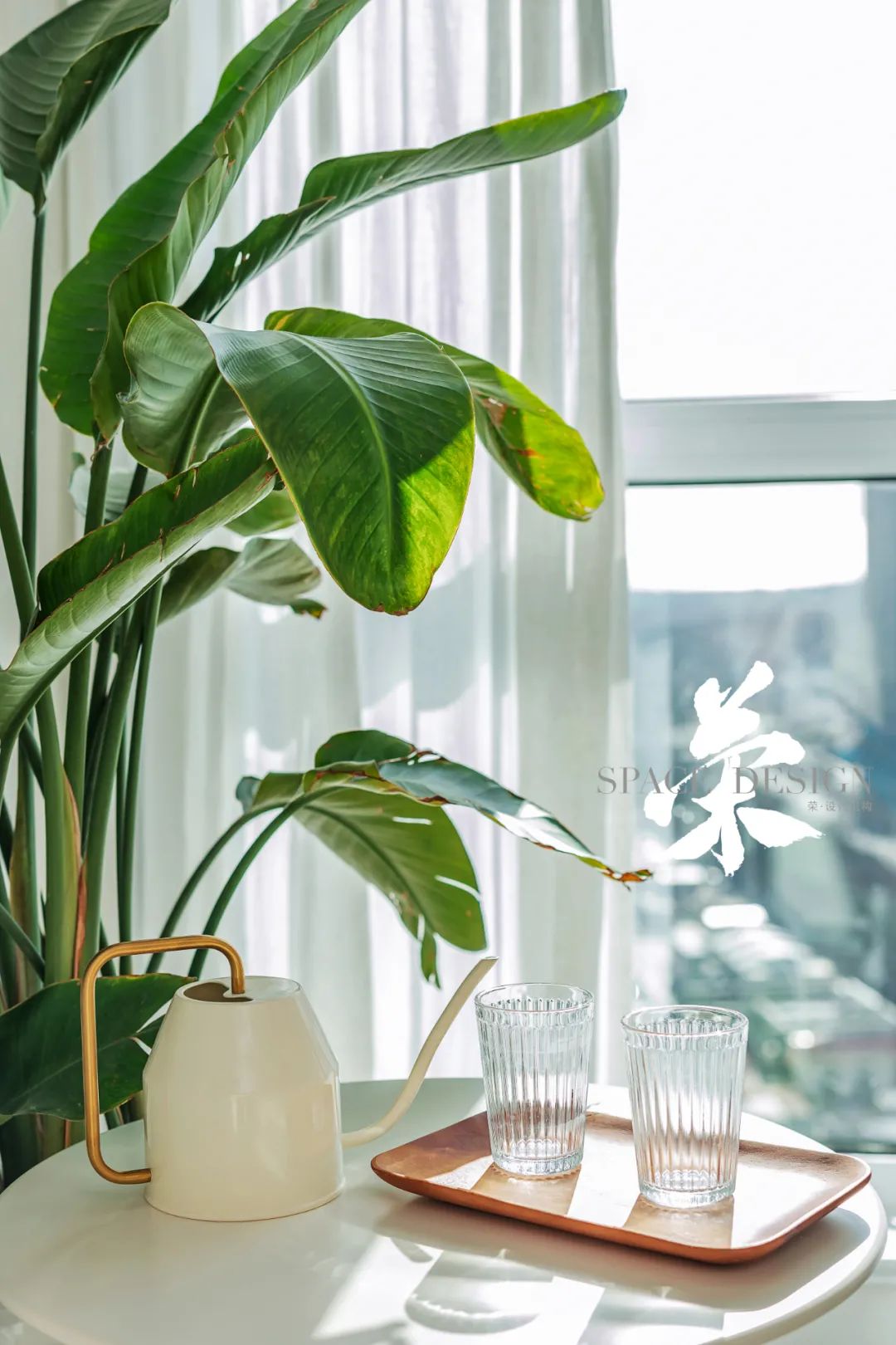 春日猫咪温馨宅 | 设计与生活的完美融合-17