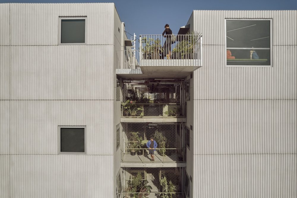 Albermarle街38号公寓楼丨澳大利亚墨尔本丨Fieldwork-17