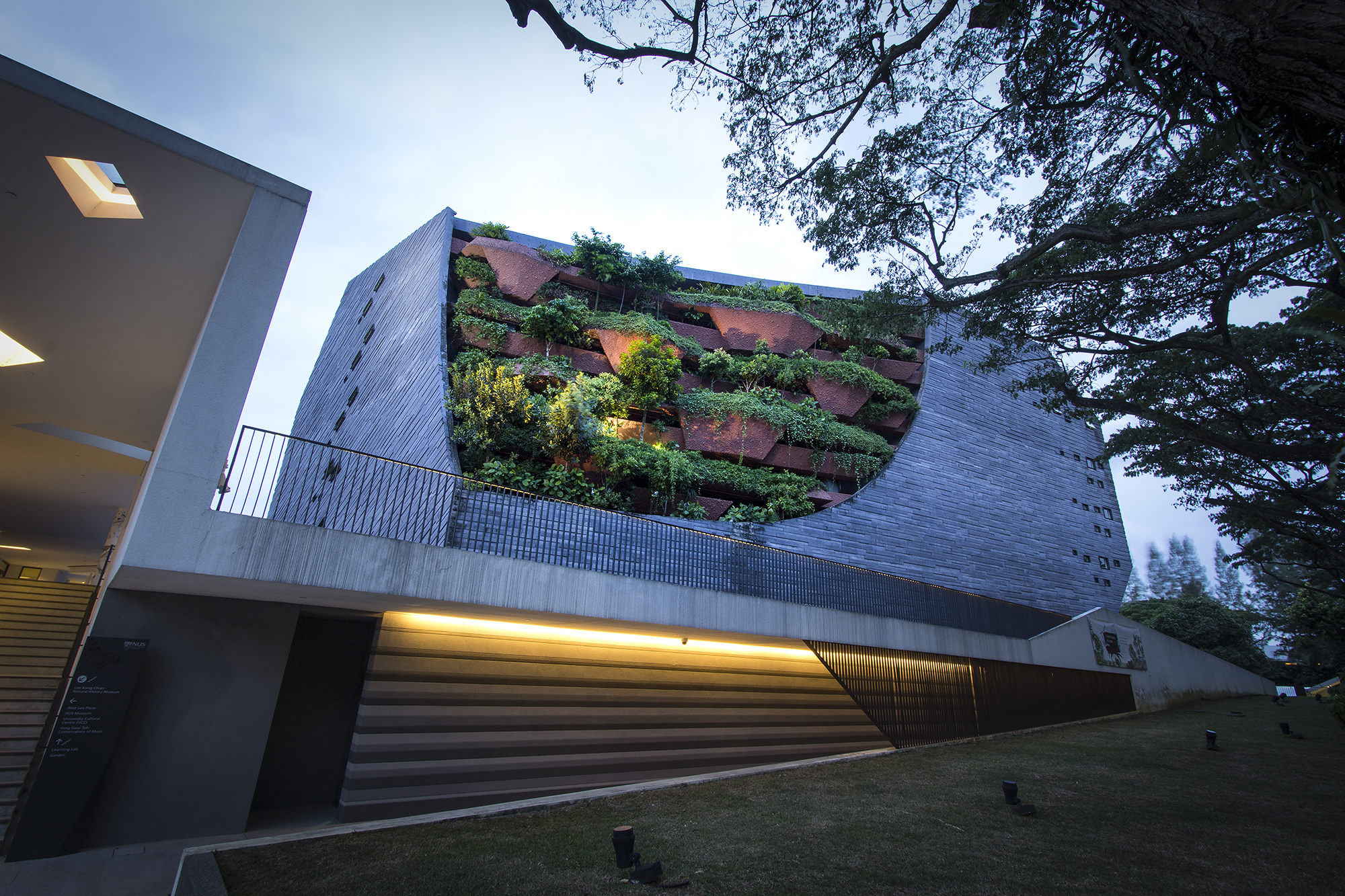 李光前自然历史博物馆丨新加坡丨Tierra Design (S) Pte Ltd-23