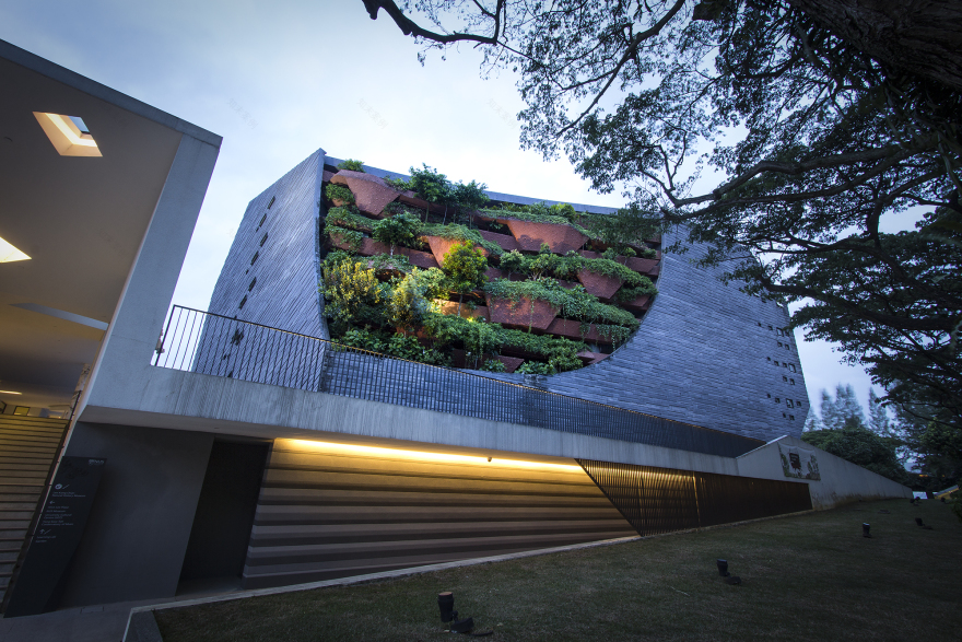 李光前自然历史博物馆丨新加坡丨Tierra Design (S) Pte Ltd-23