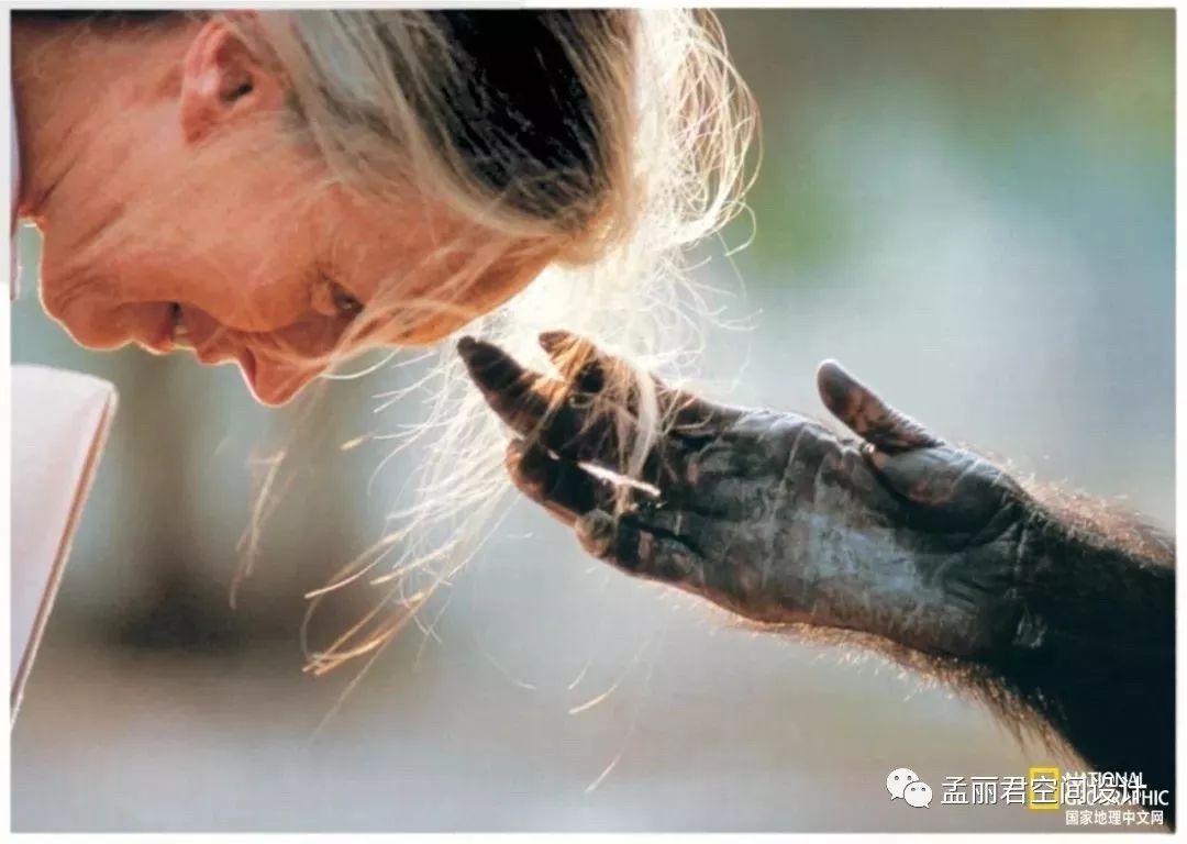 《国家地理》 | 远方不远，世界很美-26