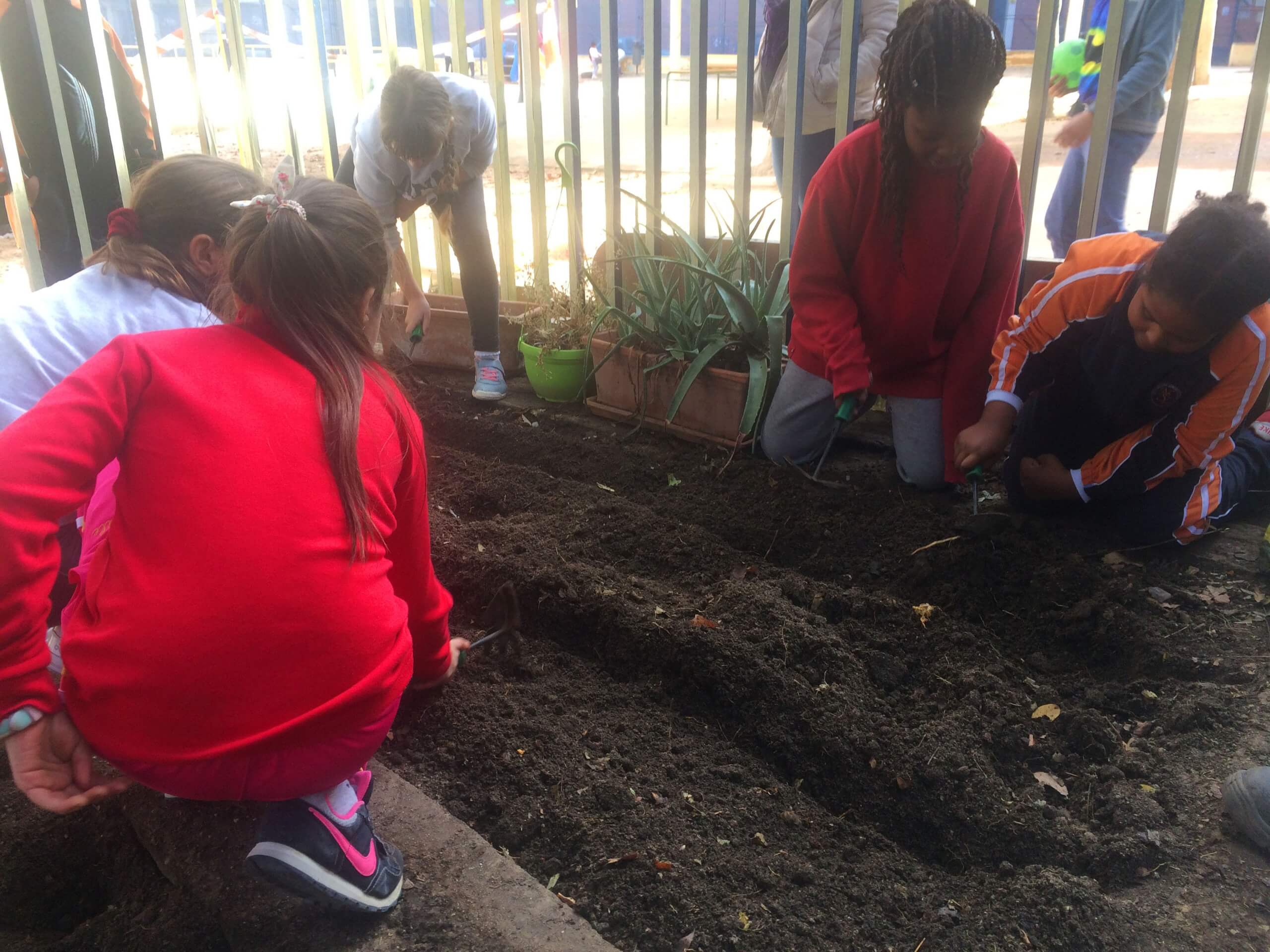 丨西班牙马德里丨Pezestudio.org-21