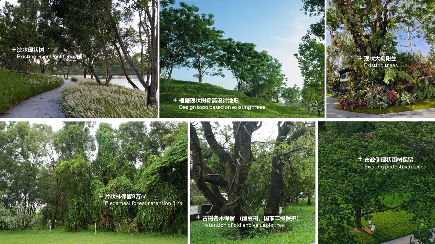 海棠河生态公园二期景观设计丨中国三亚丨LOLA Landscape Architects-217