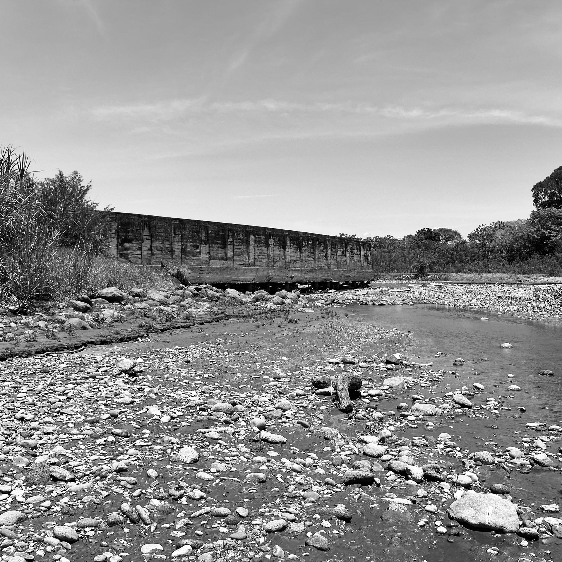 Sedimentos: Ecologías Performativas | Integrador Final-10