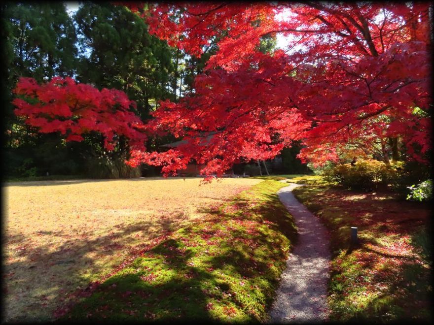 对龙山庄庭园丨日本京都丨七代目小川治兵衛-32