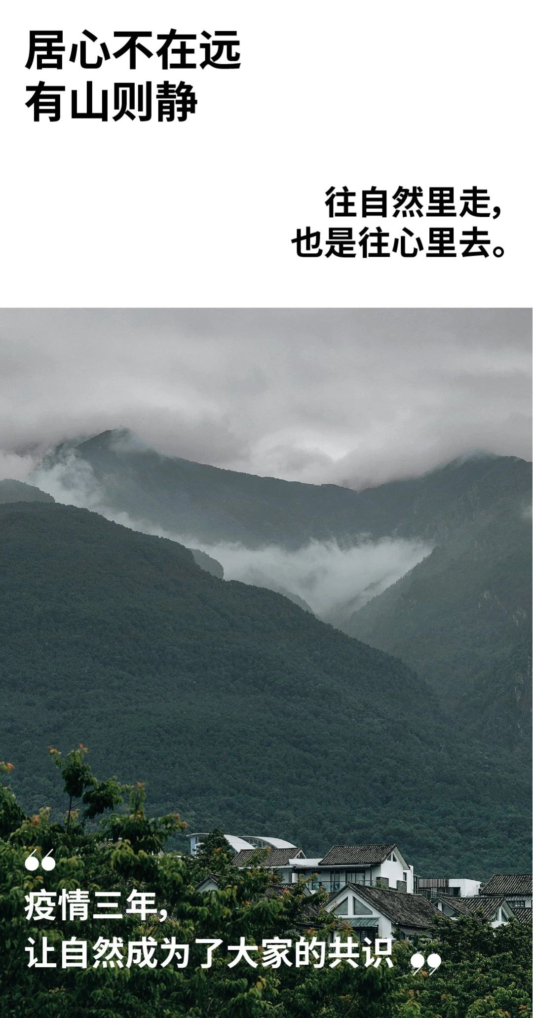 《归·墅》丨谢柯-11