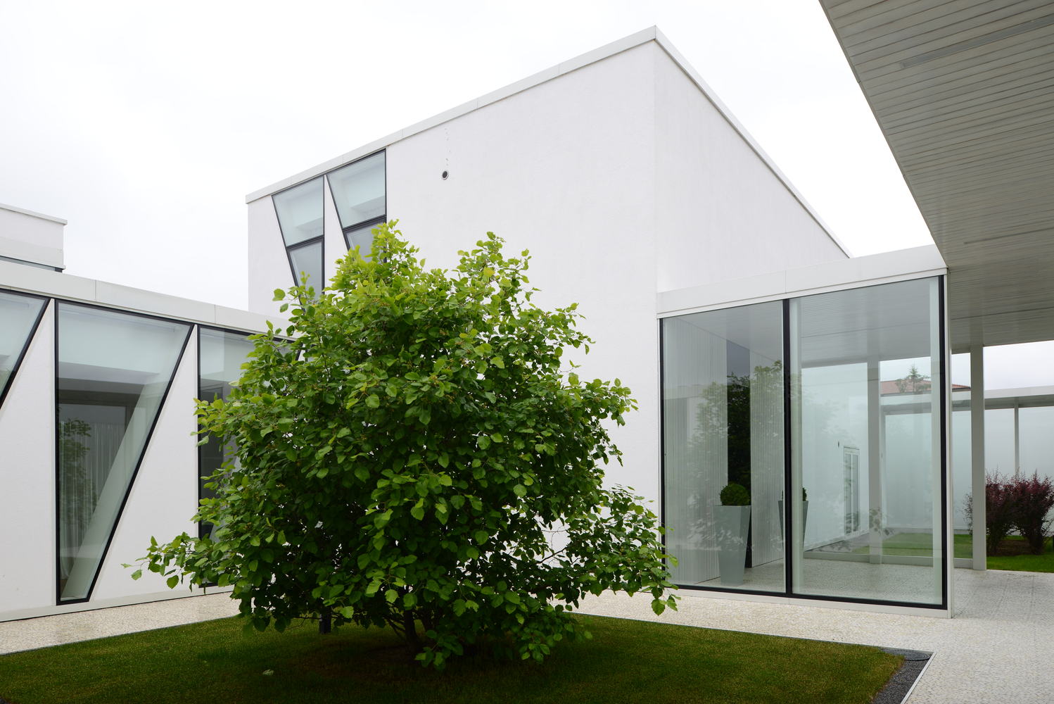 矛盾中的和谐,别墅设计实现隐私与透明共存-44