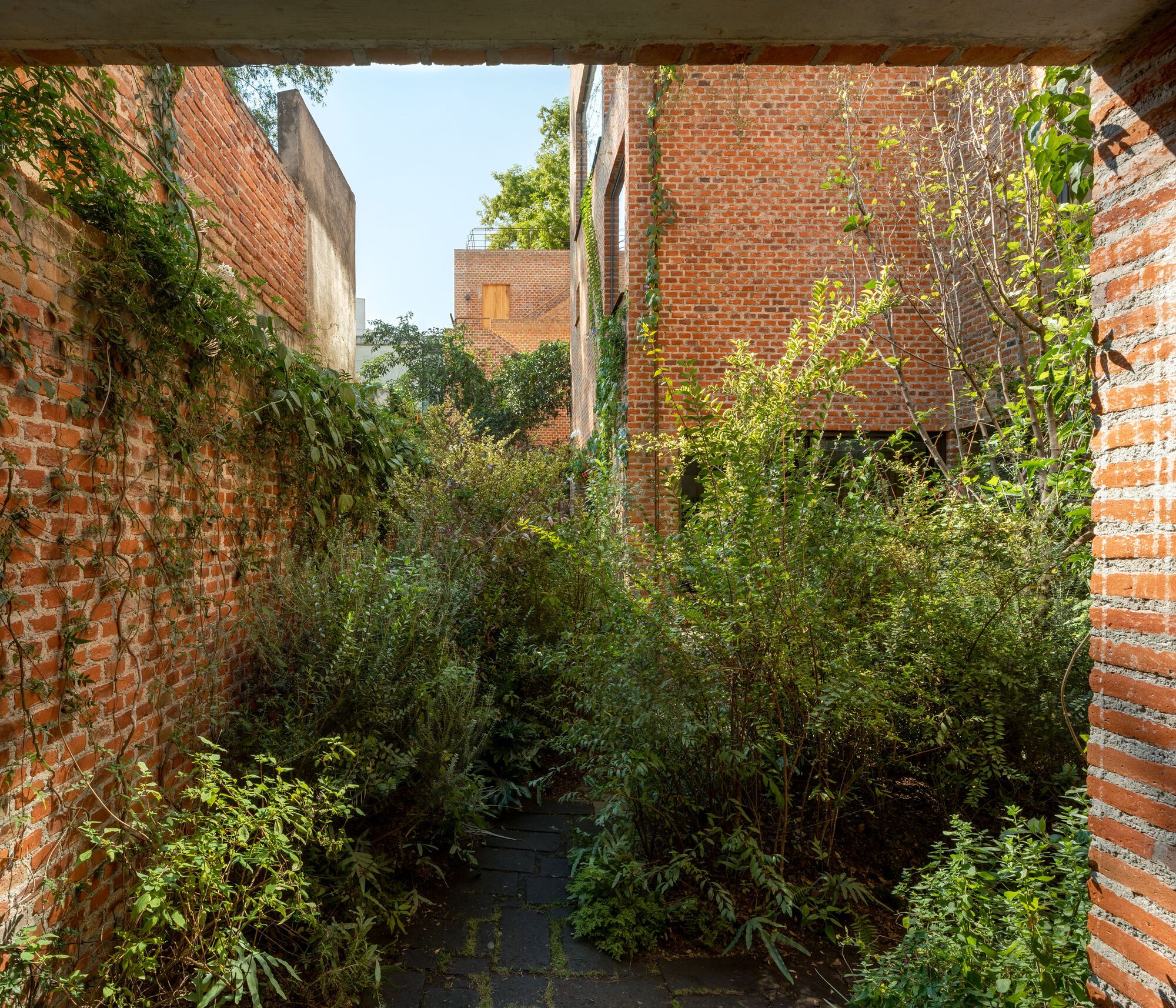 E8 住宅丨墨西哥墨西哥城-20