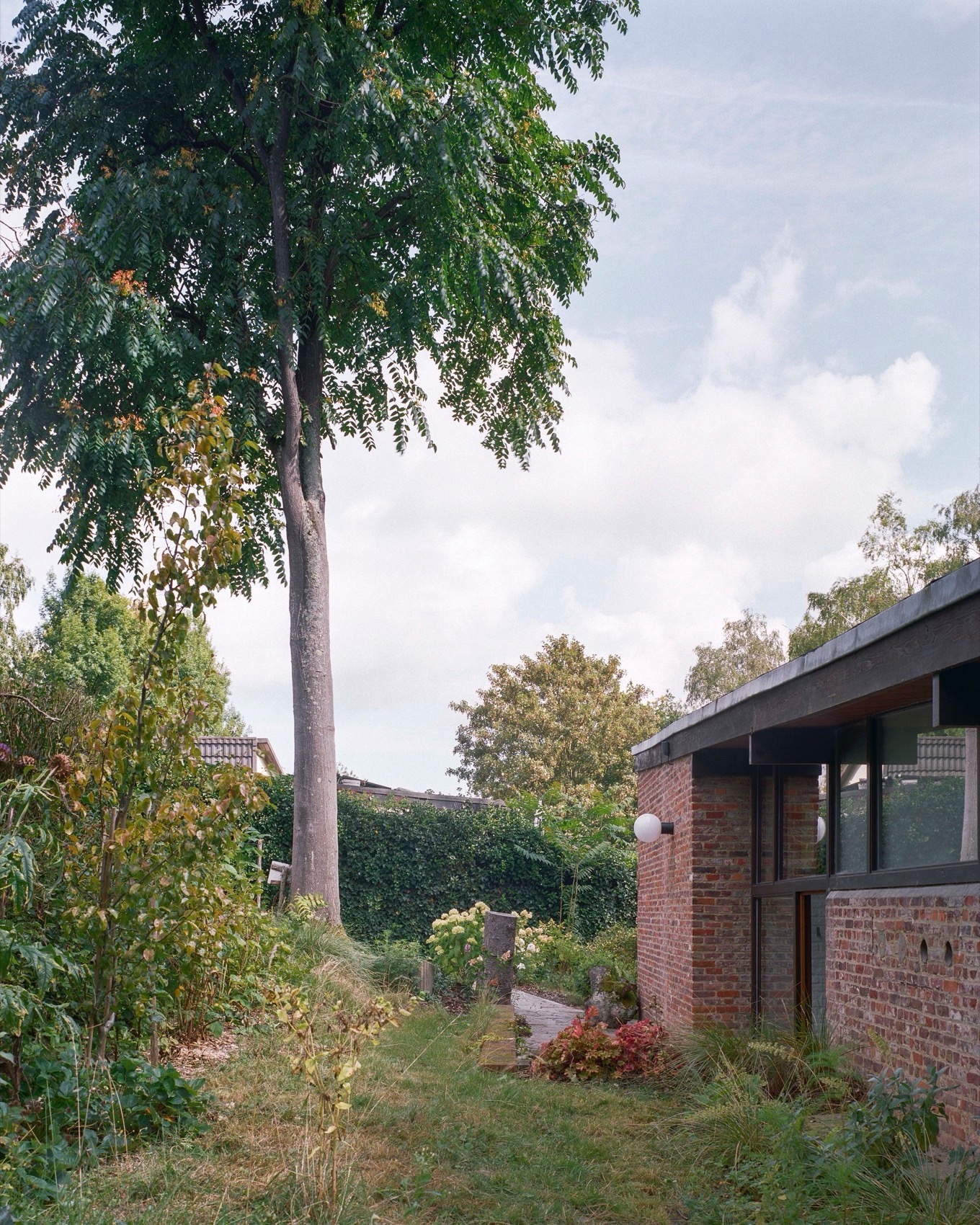 Kelleveld 住宅改造丨比利时丨Mamout architectes-60