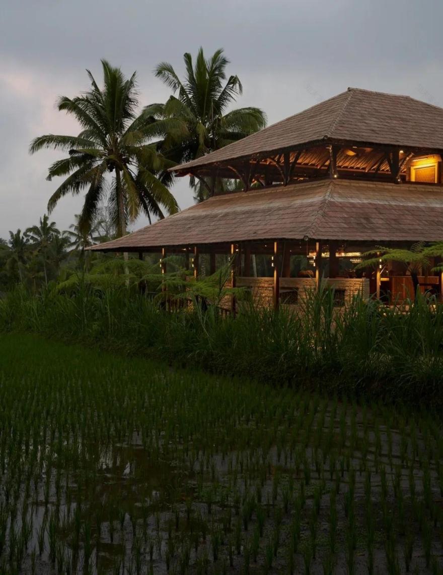 印尼 Begawan Biji 餐厅丨印度尼西亚巴厘丨Blanco Studio-26