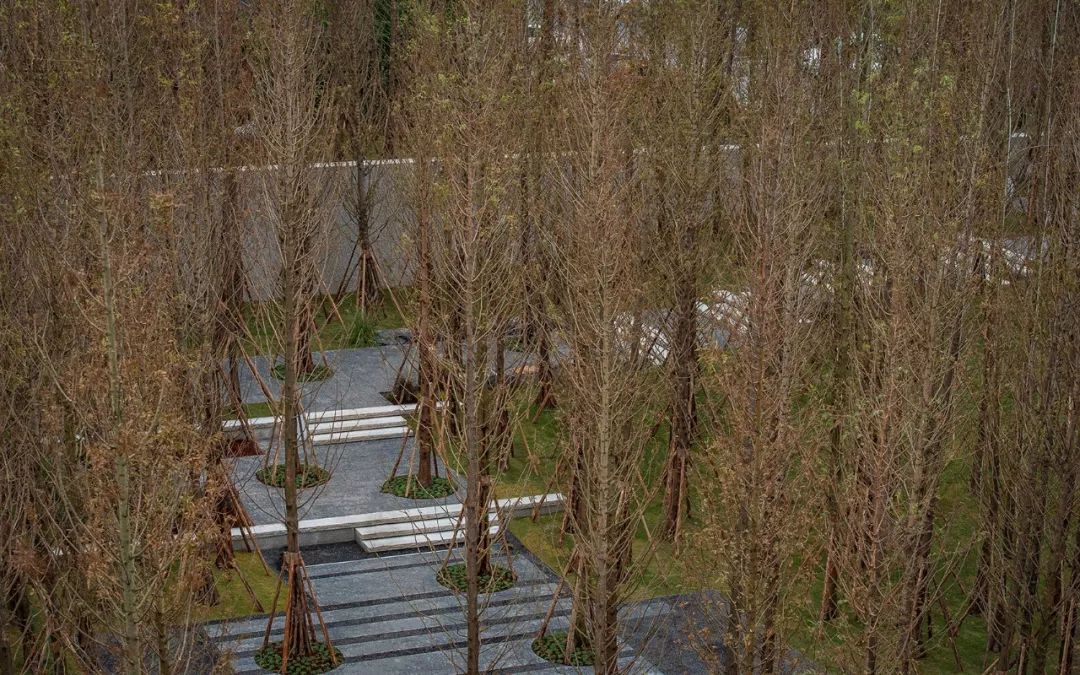 “重庆森林”  | 重庆万科森林公园-42