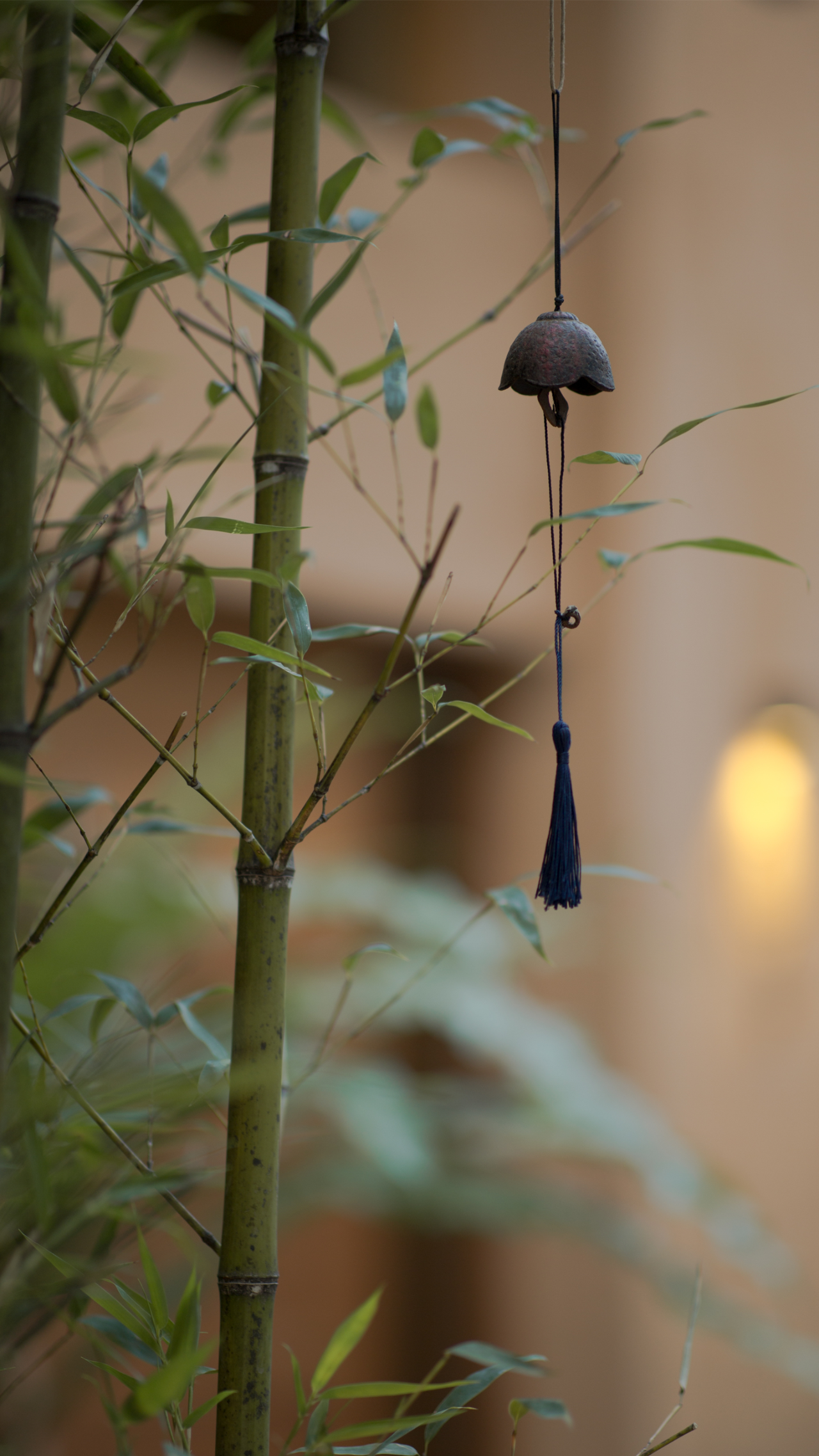 天水蔬食料理餐厅丨中国广州丨广州道胜设计有限公司-1