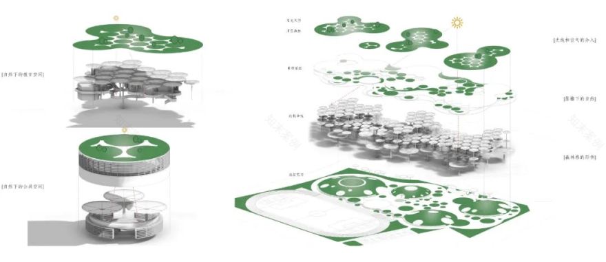 天府新区理想校园竞赛丨二分之一自然建筑设计事务所-36