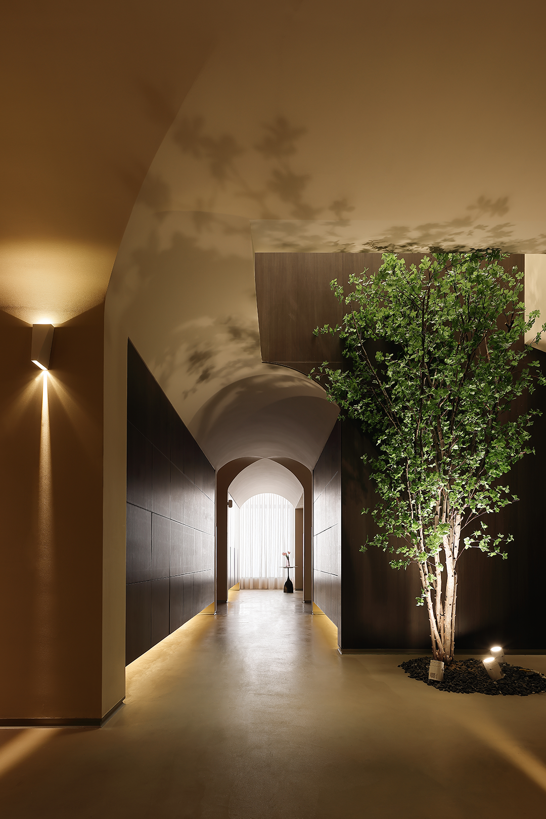 【新作】大象未来丨BAONA SPA-64