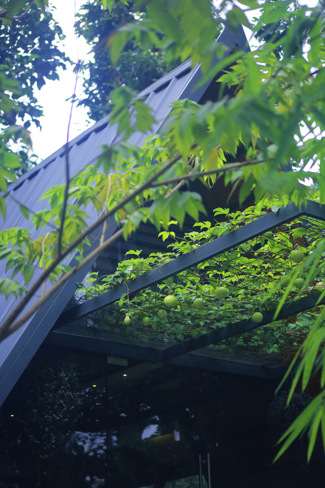 Architecture Studio  Attic Lab-44