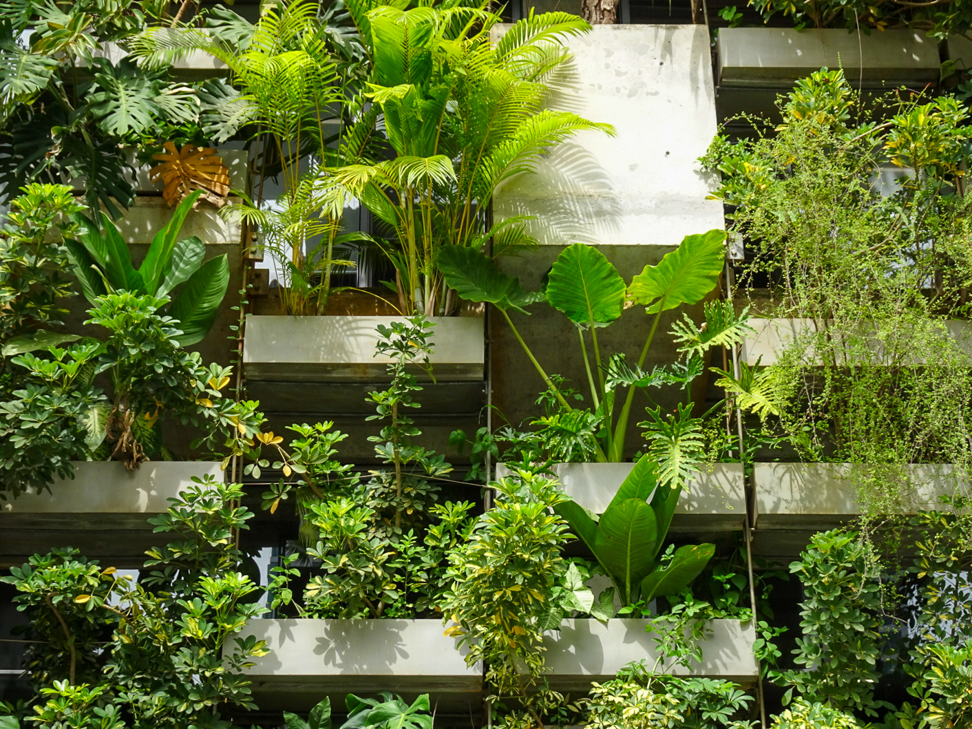 アーバン・ファーミング・オフィス | ベトナム の建築【世界建築巡り】-33