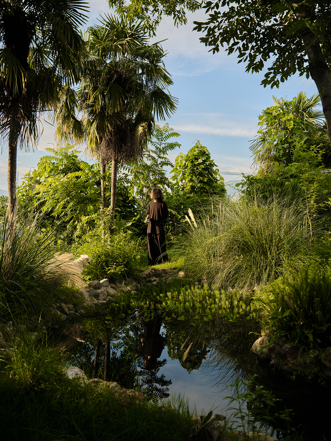 xiān氙建筑/南方的院子：东南村8号-548