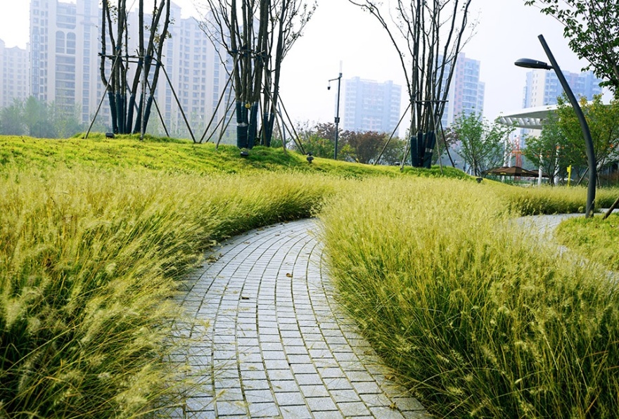 胶梦水韵(胶州三里河公园中央商务区段1标段)-93