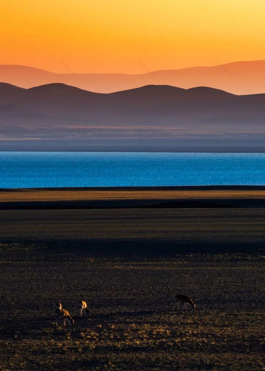 秋色全国 | 十大绝美秋景观赏地-132