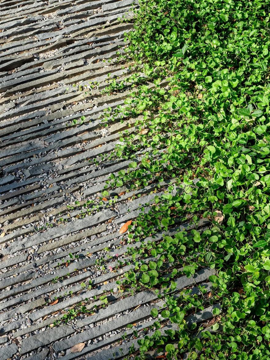 新月丨美国达拉斯丨HOCKER-28