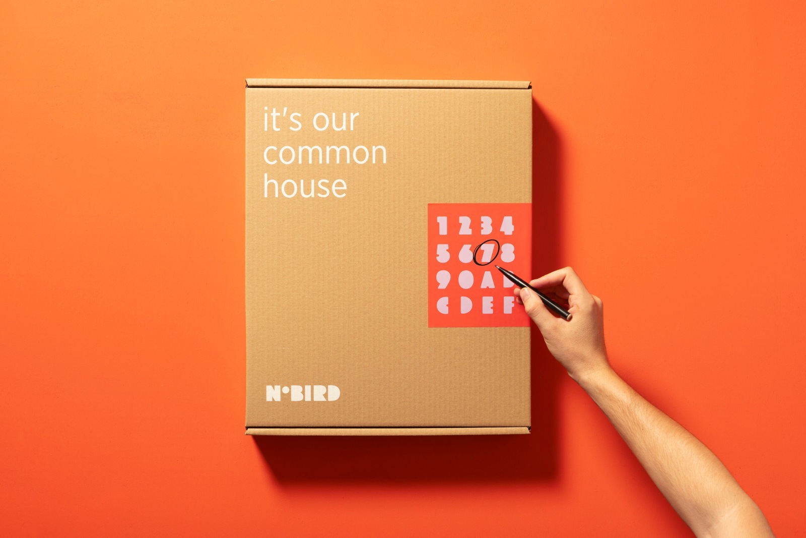 Numbird鸟类巢箱-15