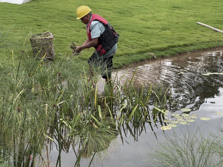 成都兴隆湖·湖畔森林图书馆丨中国成都丨昱道景观-103