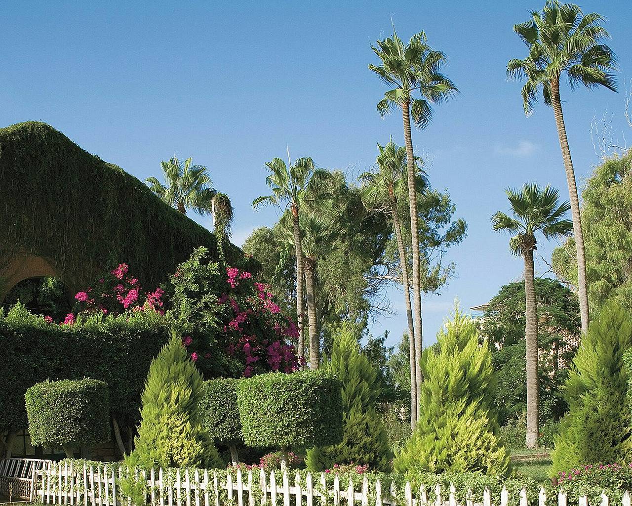 四季酒店 Alexandria  亚历山大港（埃及）-22