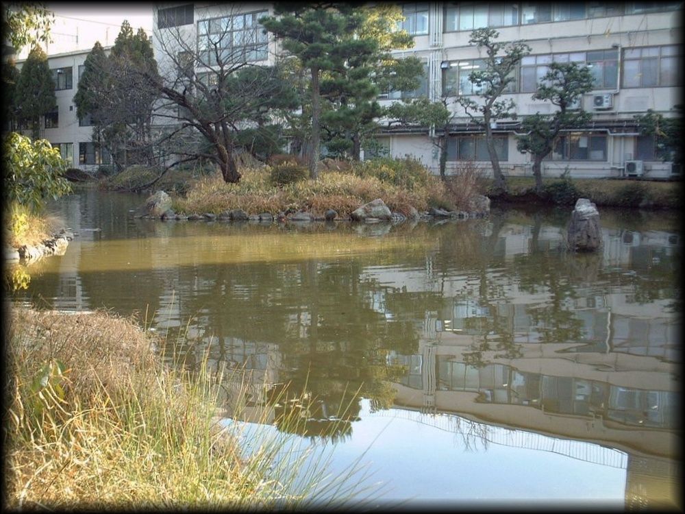 积翠园（平重盛「小松邸」迹庭园）丨日本京都-17