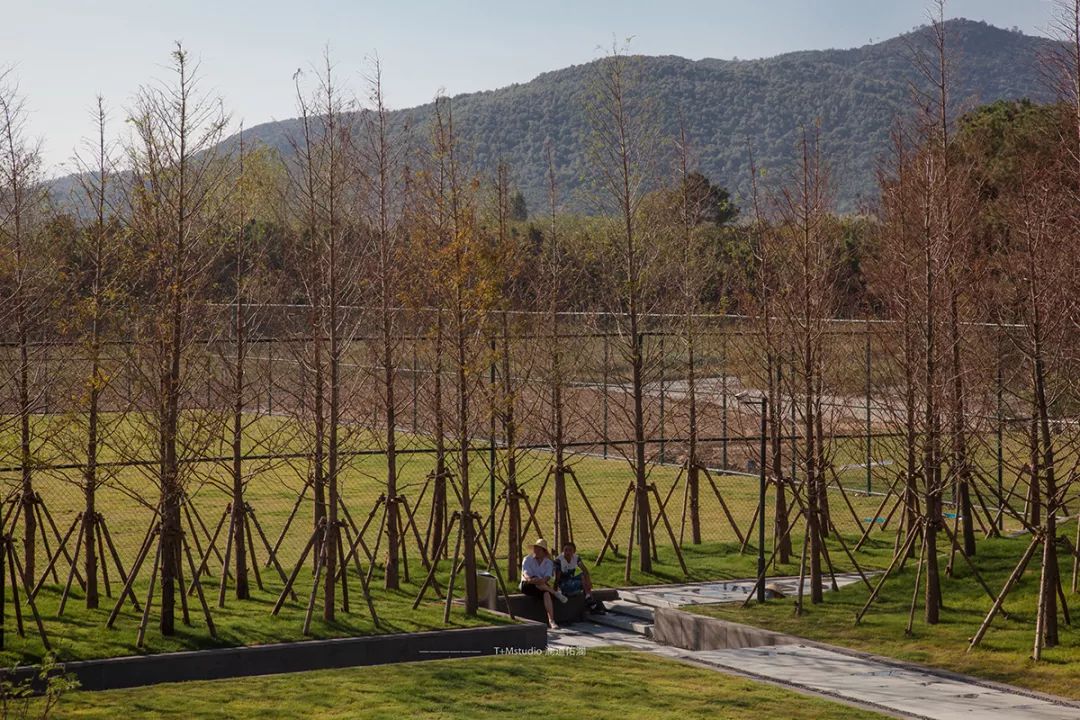 南京弘阳金辉·时光悦府 | 自然与设计的和谐共生-123