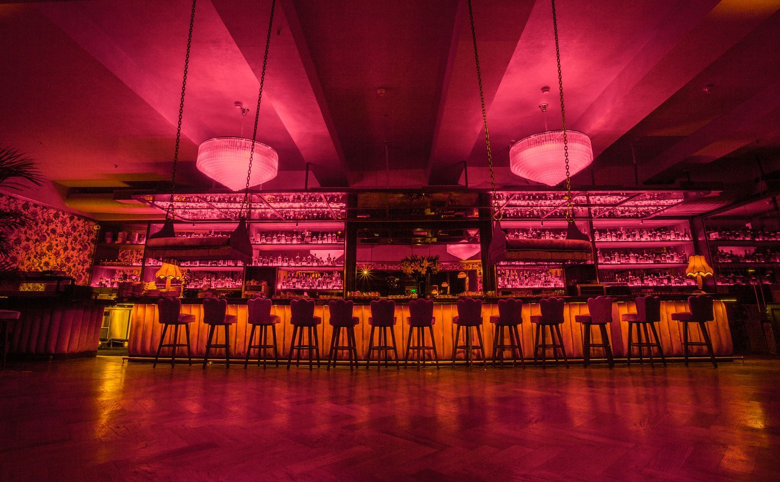 丨印度新德里丨艺术家兼文案撰写人Freddy Birdy-8