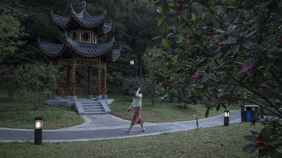 广州增城区山茶属植物主题公园丨中国广州丨棕榈设计集团有限公司-23