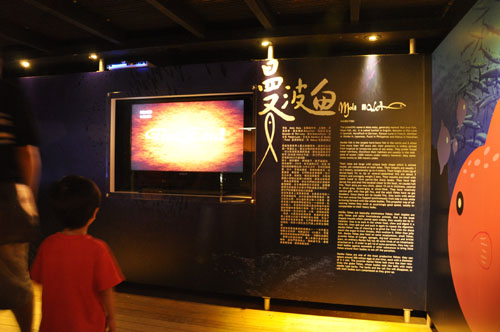 花莲柴鱼博物馆-10