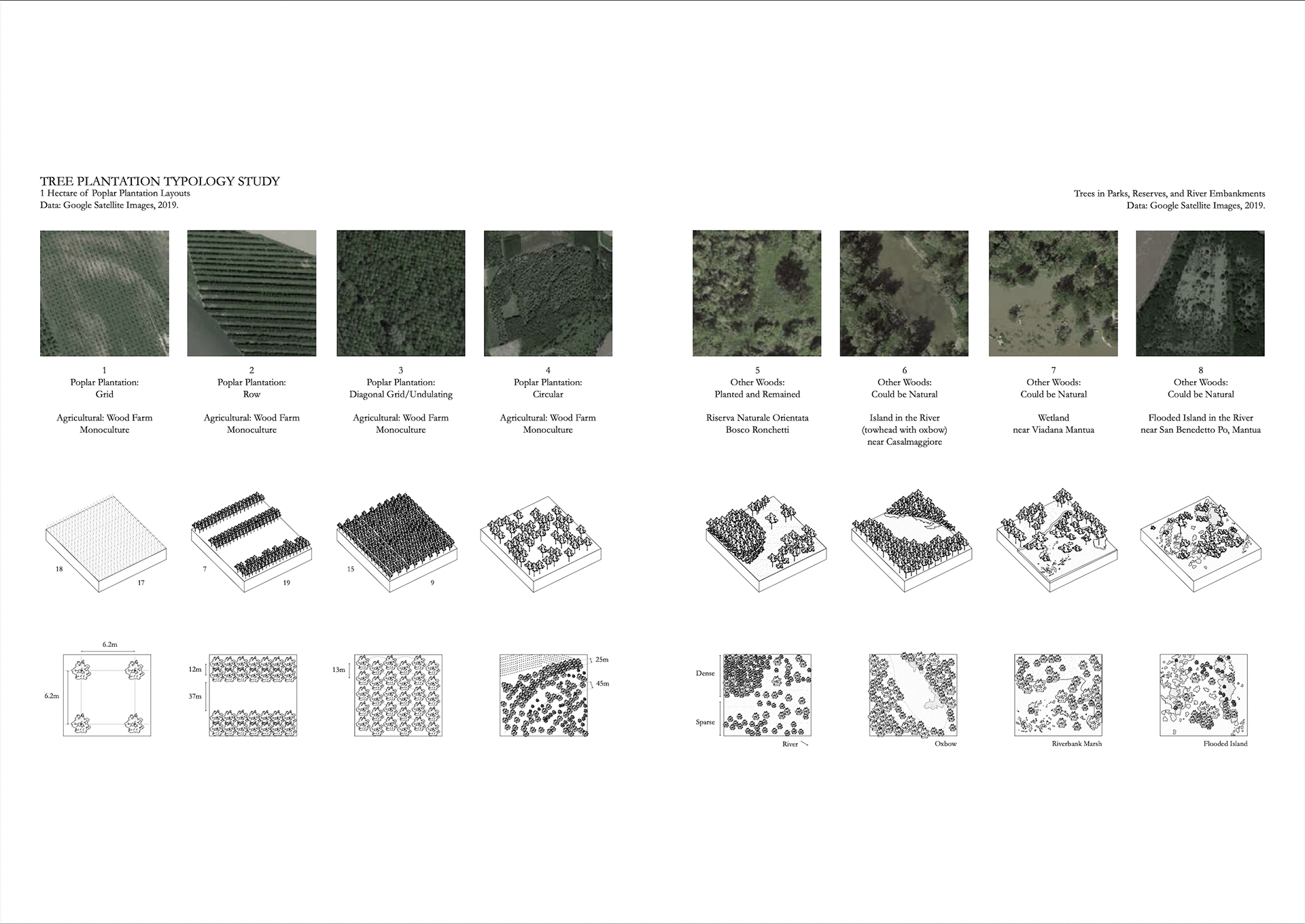 Pre-Thesis Final Studio: Un Po Piu di Boschi-7