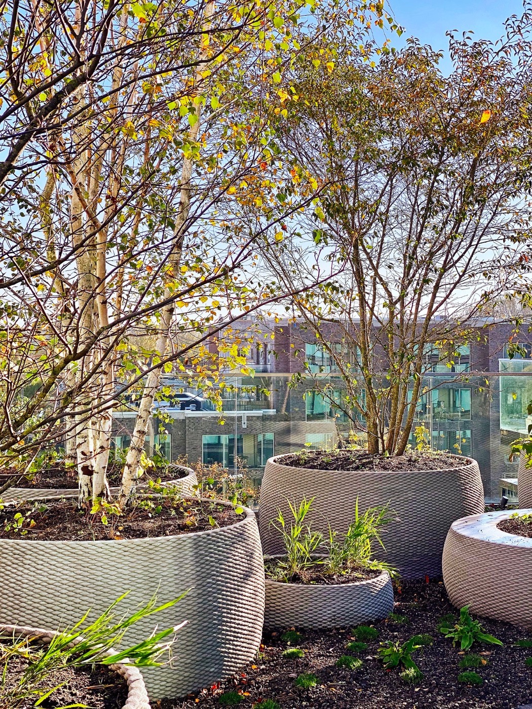 阿姆斯特丹 terrace tower丨荷兰阿姆斯特丹丨DELVA,BIG-11