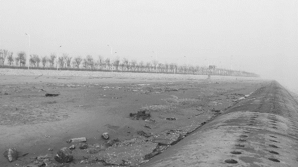 天津东疆海岸线重生 · 活力新地标丨中国天津丨AECOM-9