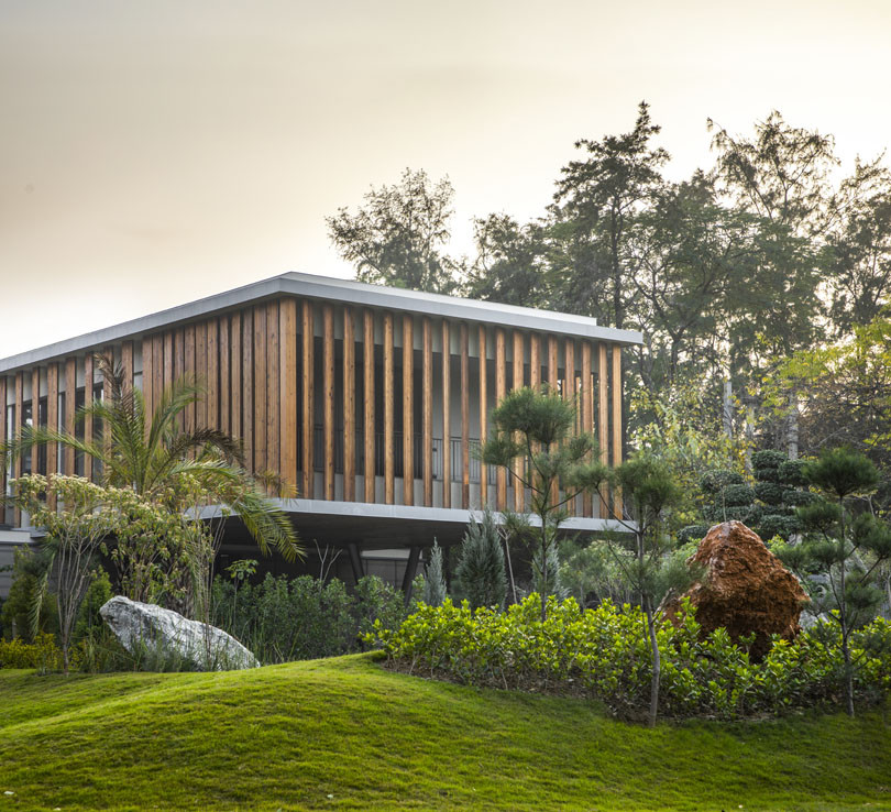 丨印度新德里丨Studio Lotus-22