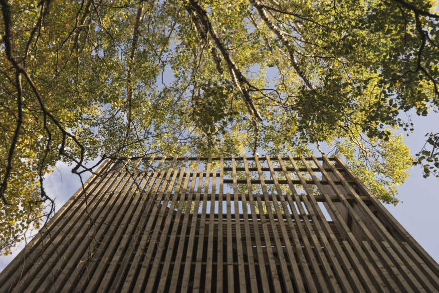 Mini House Hurdal / Bas Bergen-28