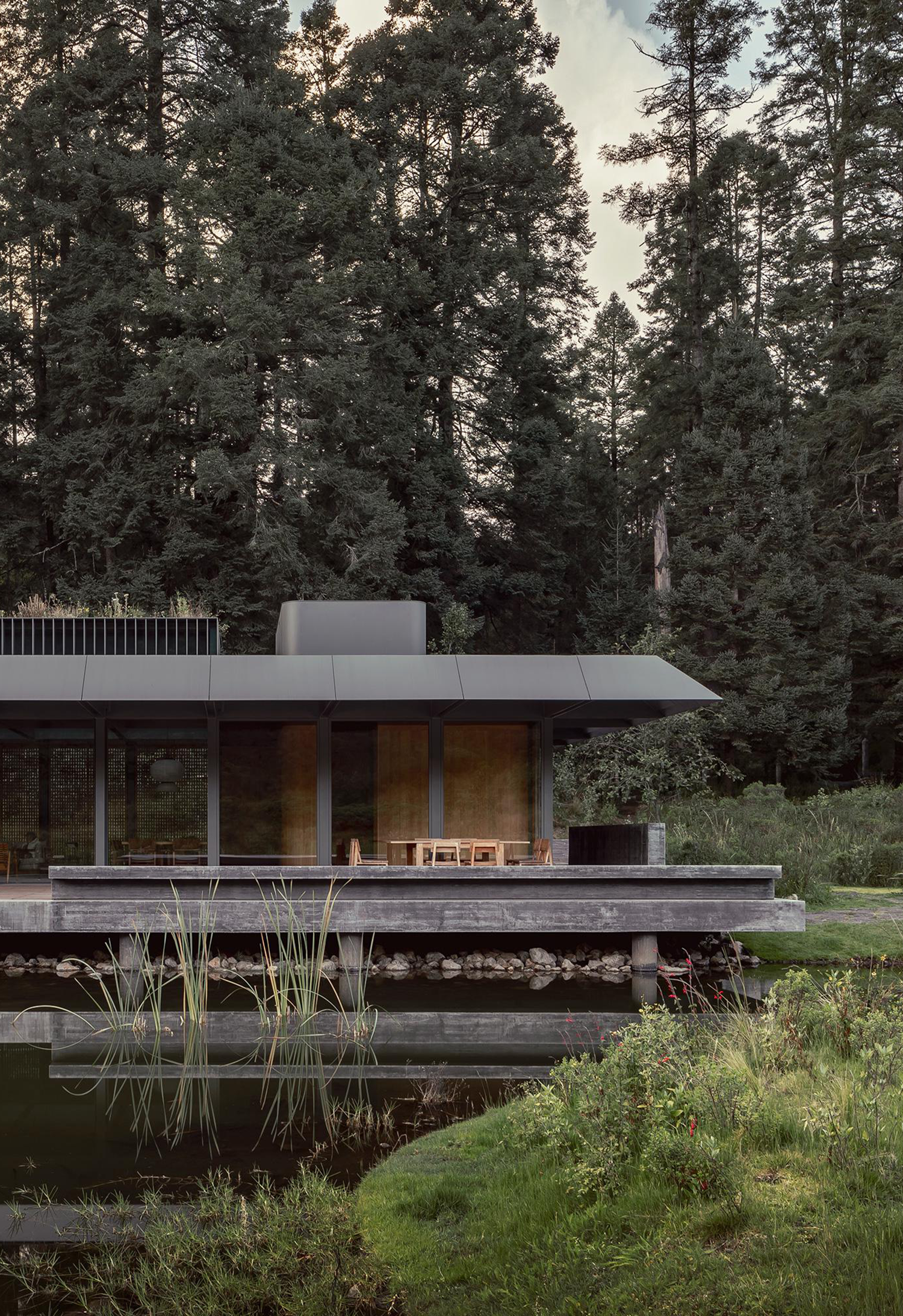 埃尔埃斯皮诺别墅景观丨墨西哥丨Dirección 设计工作室-74