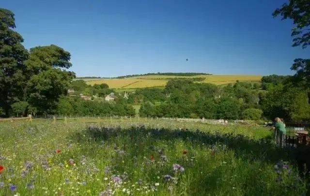 英国 Follers Manor 庄园设计丨Theia-24